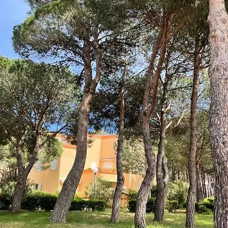 T2 Climatise Avec Terrasse - 200 M De La - Les Boramars * Argeles-sur-Mer