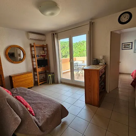 Apartment T2 Climatise Avec Terrasse - 200 M De La - Les Boramars Argeles-sur-Mer